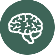 Understanding the Brain icon