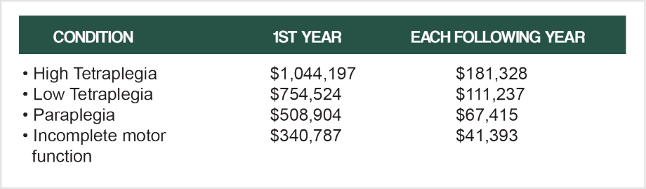 Spine Injury page expense chart