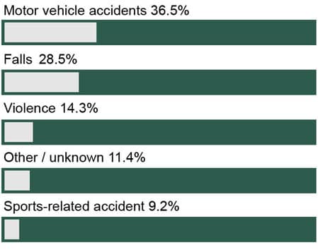 Leading causes of spine injury: Percentages