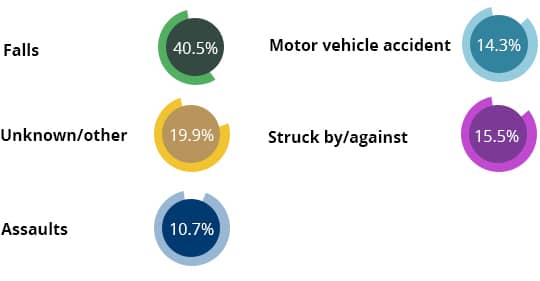 leading causes of brain injury